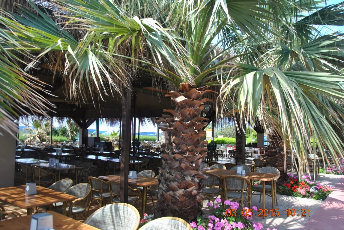 imagini hotel NASHIRA RESORT SIDE